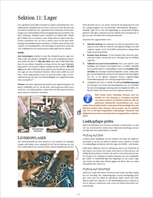 Sektion 11