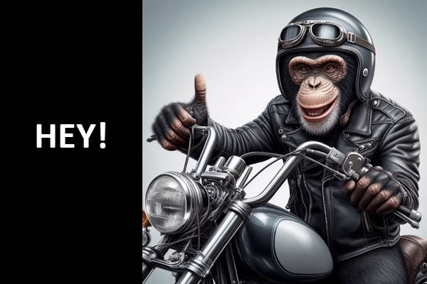 gÖrage, öh? 5 gÖrage motorcycles