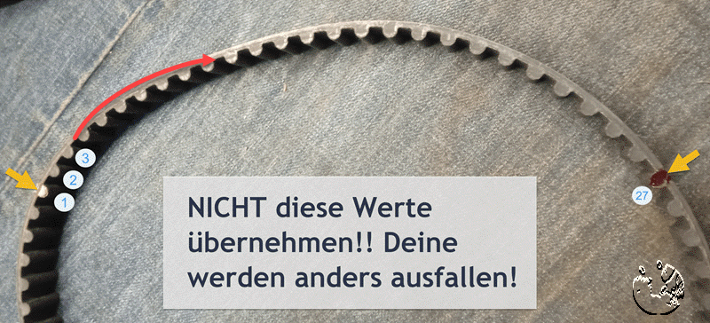 Zahnriemen-Zahnabstand bestimmen Ducati Scrambler 800