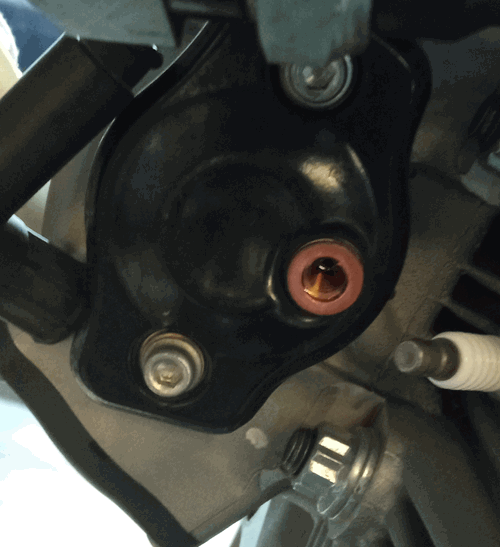 Zylinderkopf-Ventildeckel Ducati Scrambler 800